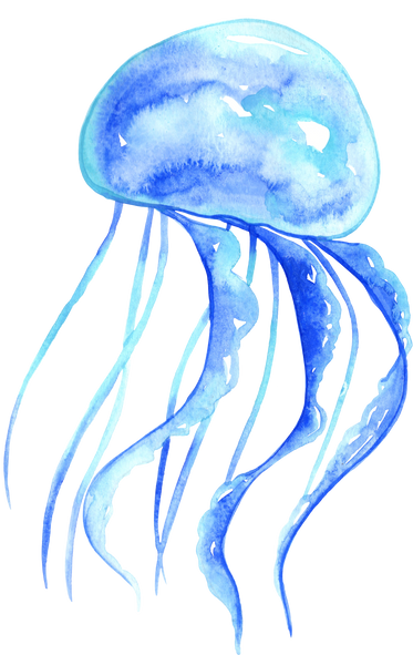 Blue jellyfish watercolor illustration for sea life.