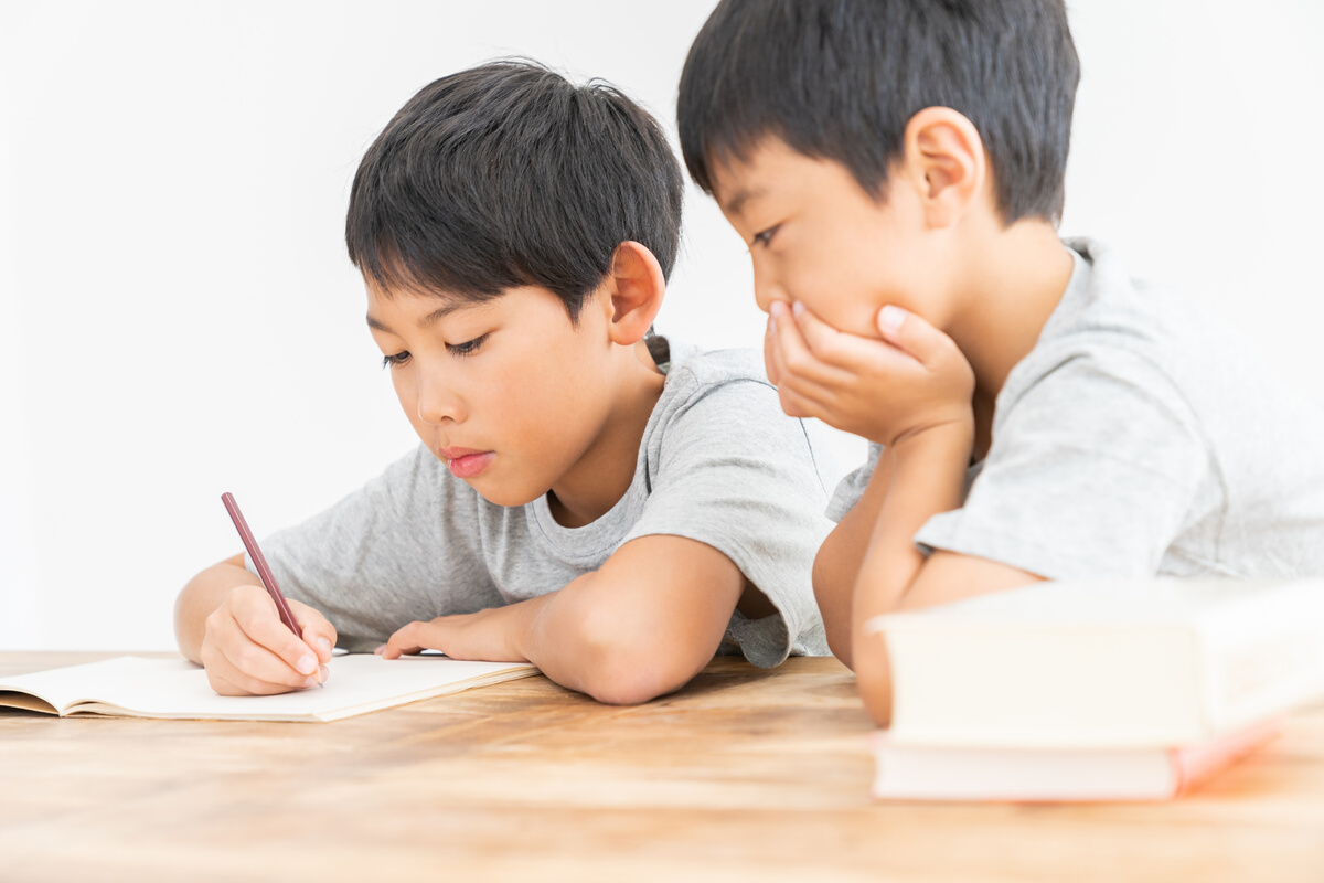 two brothers studying , kids,